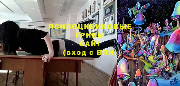 мдма Бородино