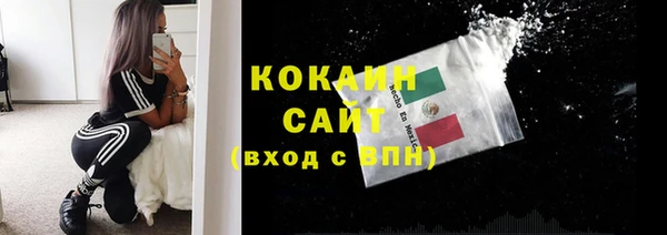 гидропоника Рославль